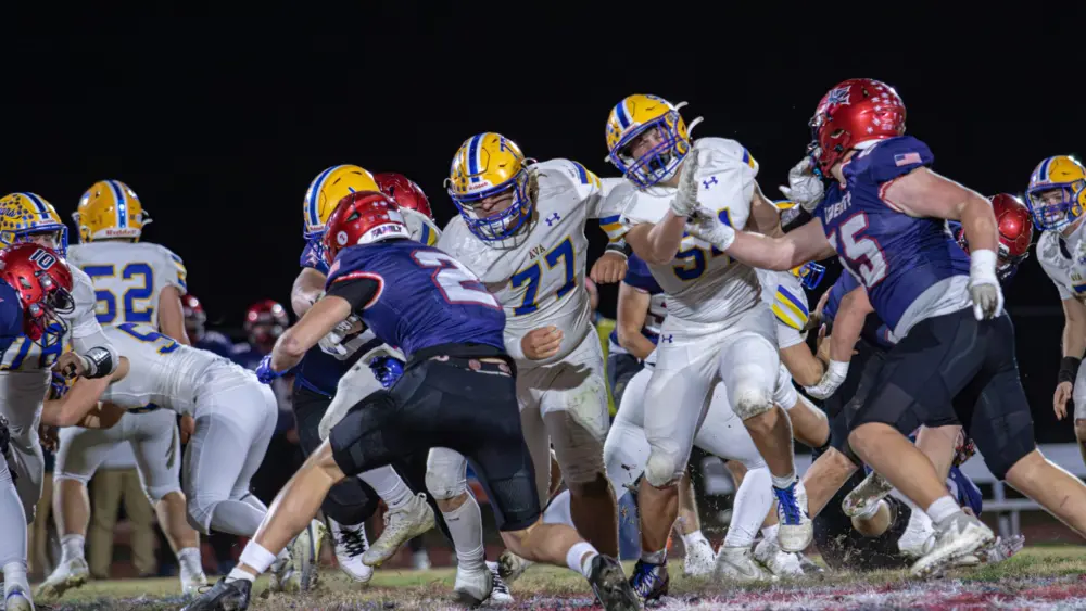 raynastillings-41-34