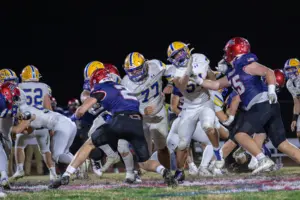 raynastillings-41-34