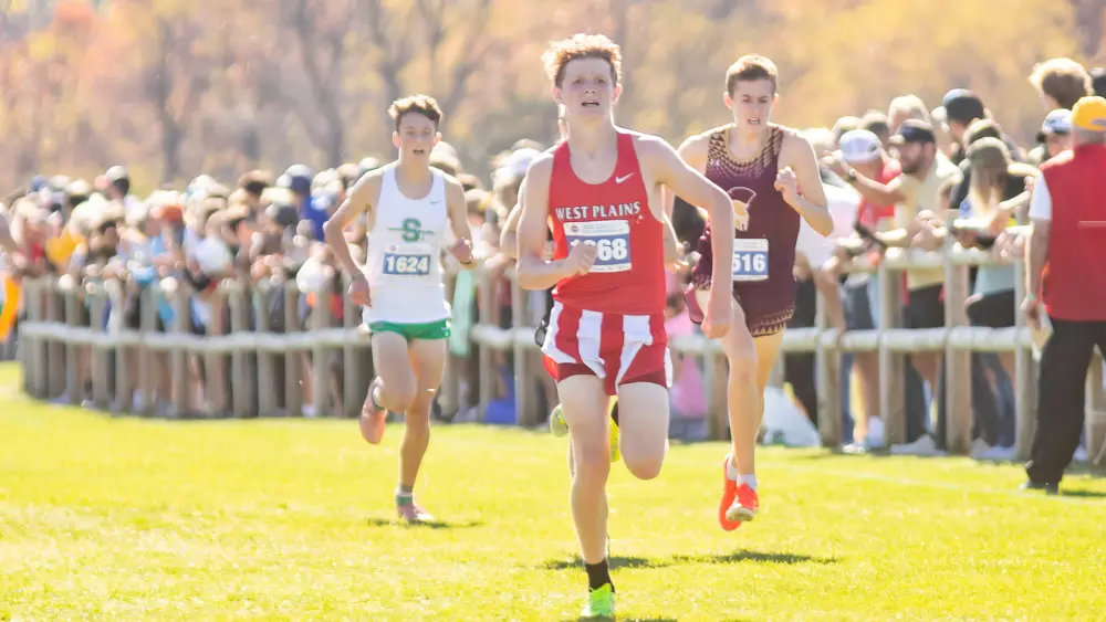 amanda-perkins-2744-3