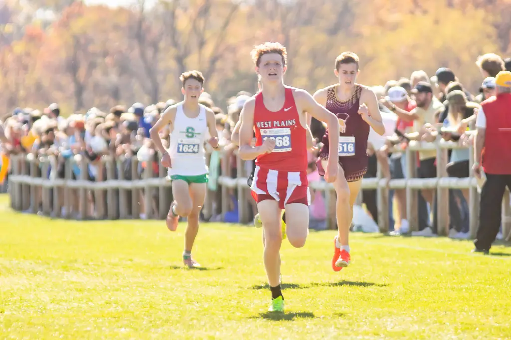 amanda-perkins-2744-3