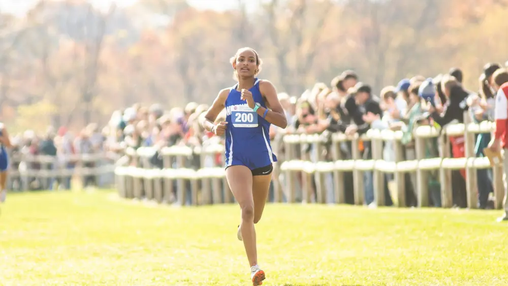 amanda-perkins-5365-2