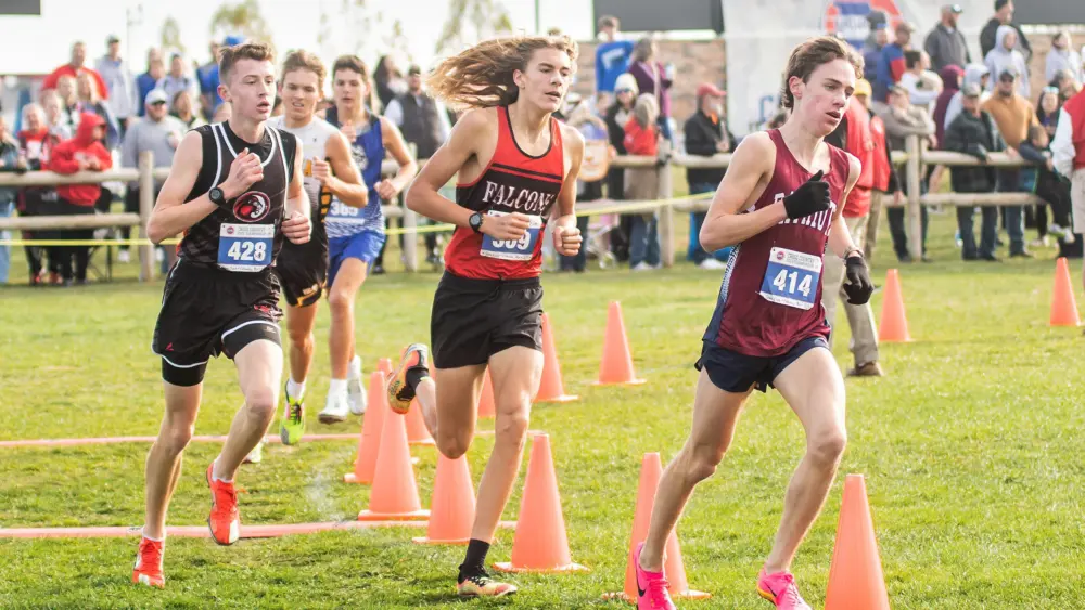 amanda-perkins-4871-2