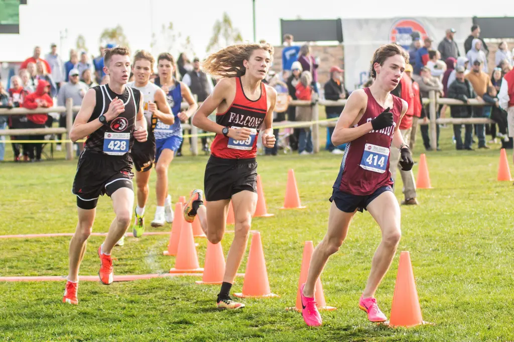 amanda-perkins-4871-2