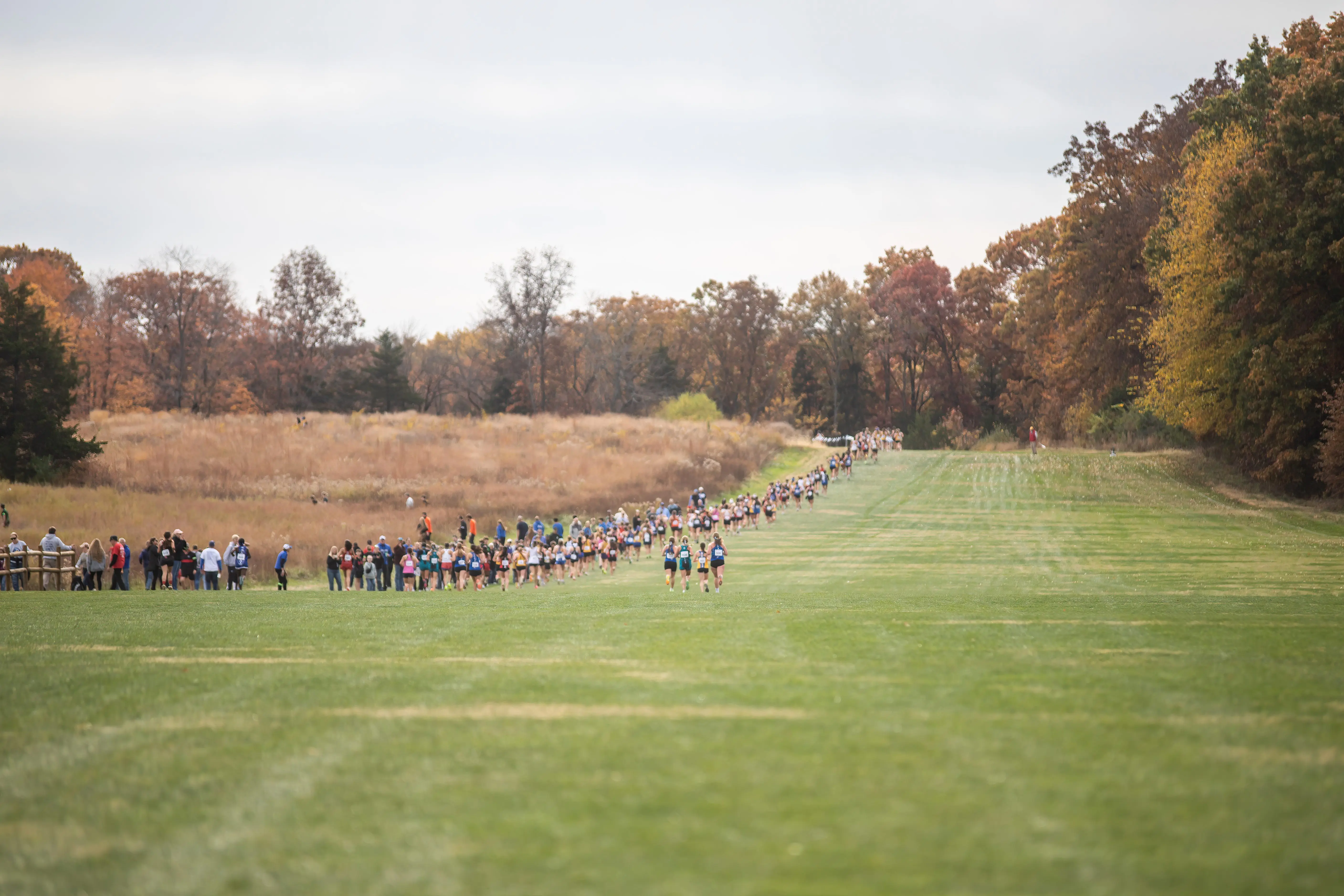 amanda-perkins-6758-2
