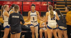 fordland-gbb-steimel