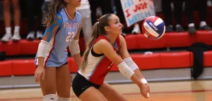 brennanstebbins0c8a0802-2