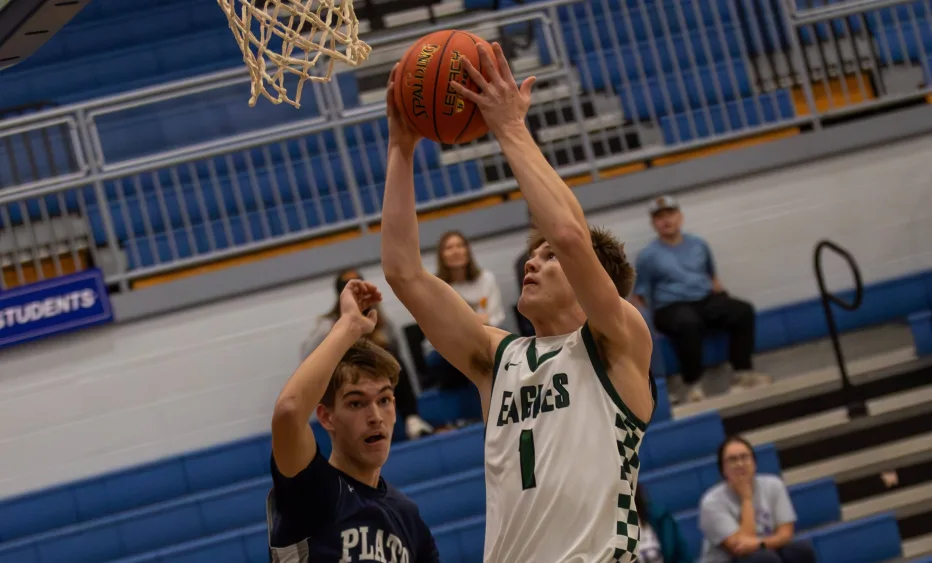 raynastillings-15-38