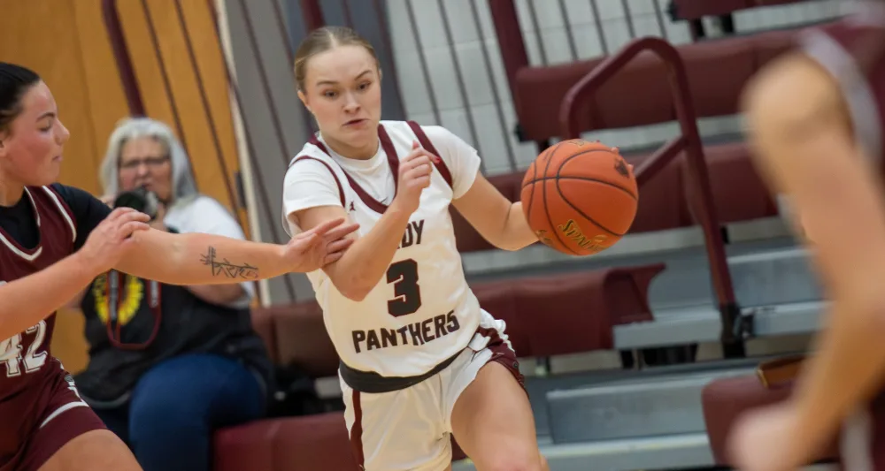 raynastillings-56-43