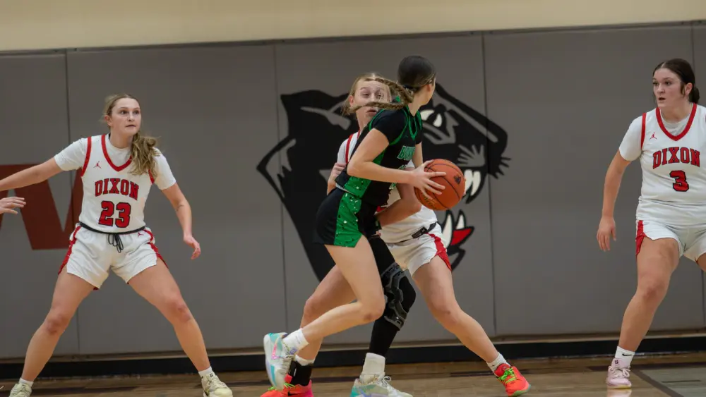 raynastillings-43-48