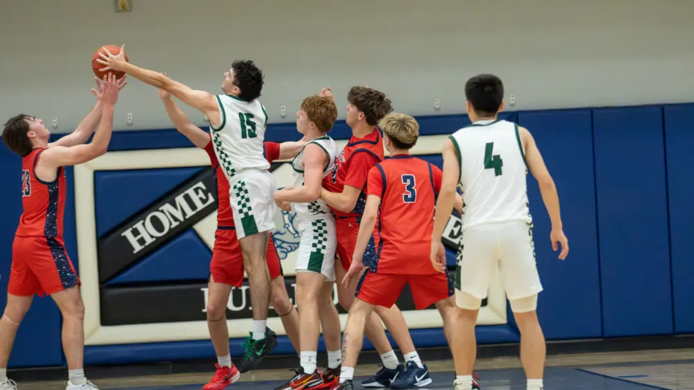 raynastillings-62-42