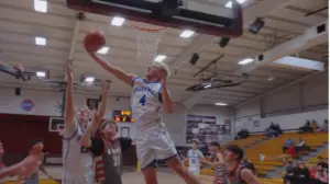 greenwood-over-reeds