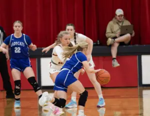 raynastillings-32-62