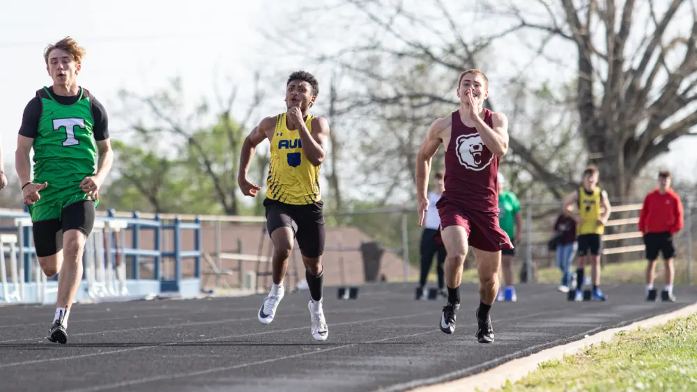 raynastillings-47-61