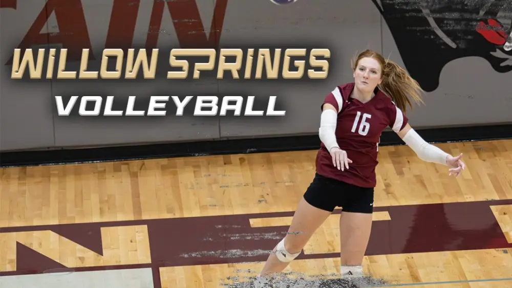 willow-springs-social-2