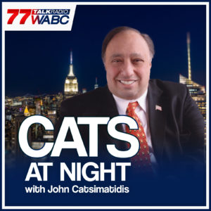 Cats at Night