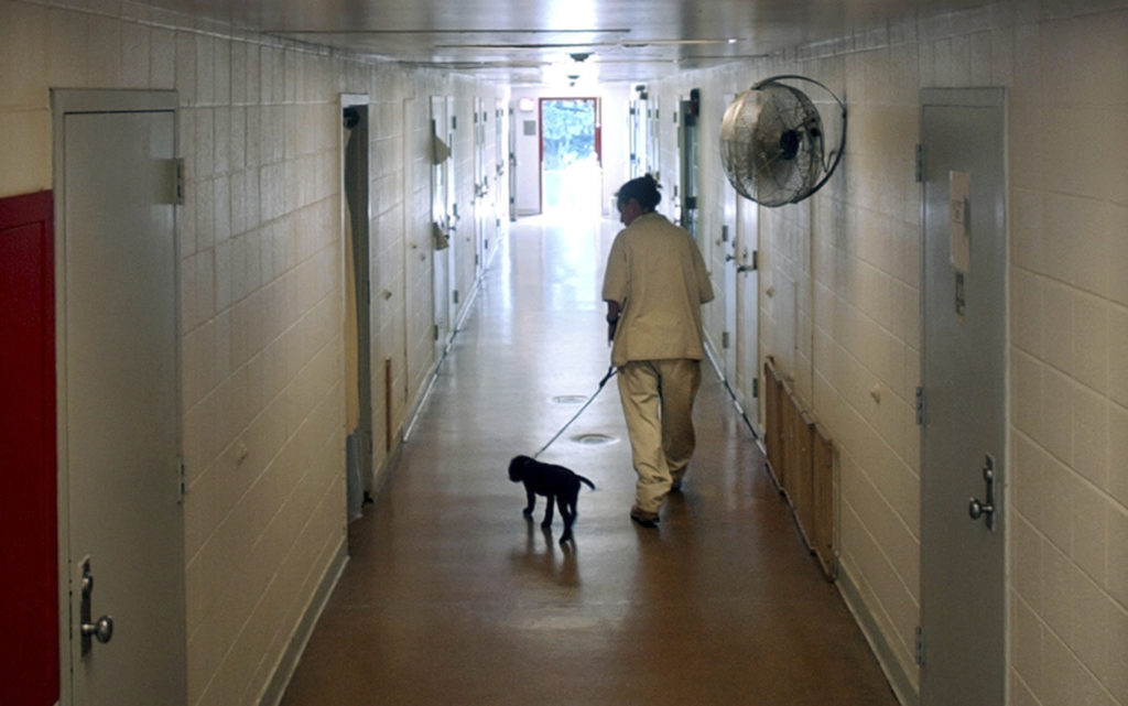 inmate-walks-puppy-down-cell-block