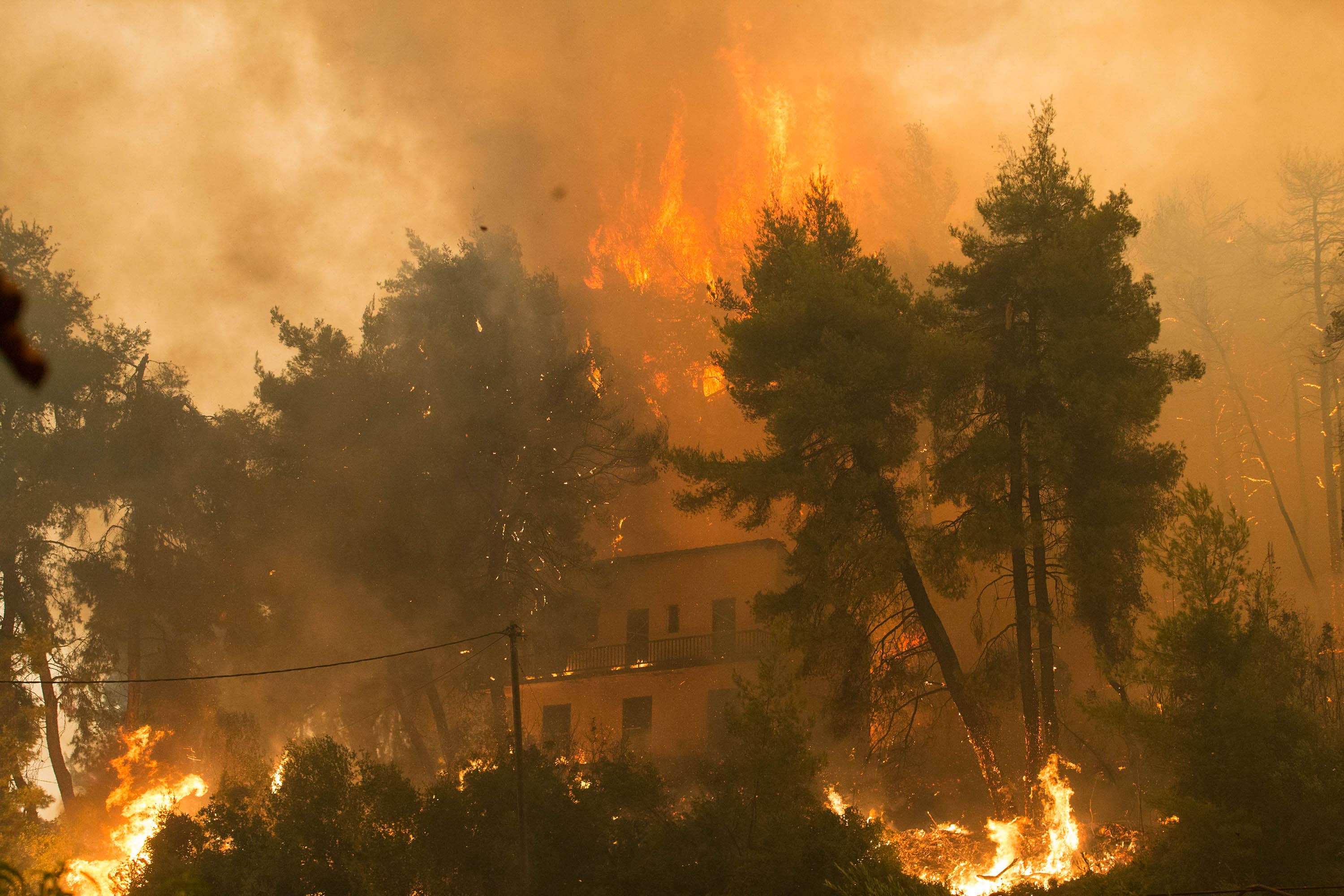 greece-evia-wildfire