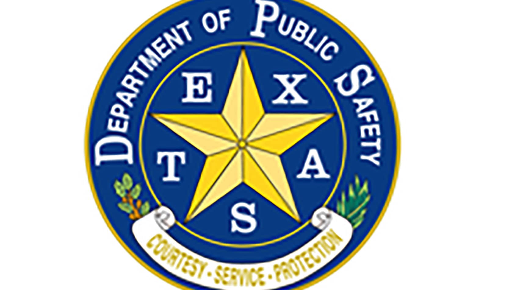 tx_-_dps_seal2