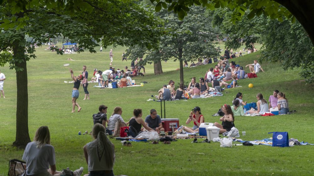ny-independence-day-in-prospect-park-in-brooklyn-in-new-york