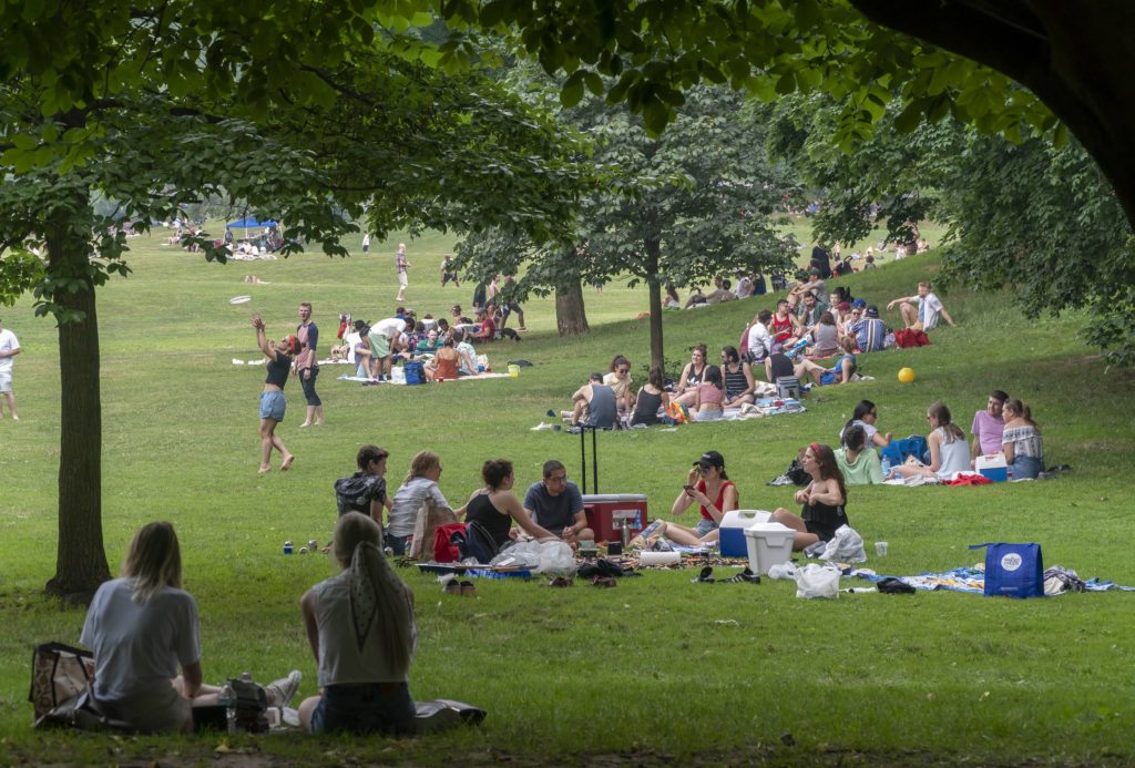 ny-independence-day-in-prospect-park-in-brooklyn-in-new-york