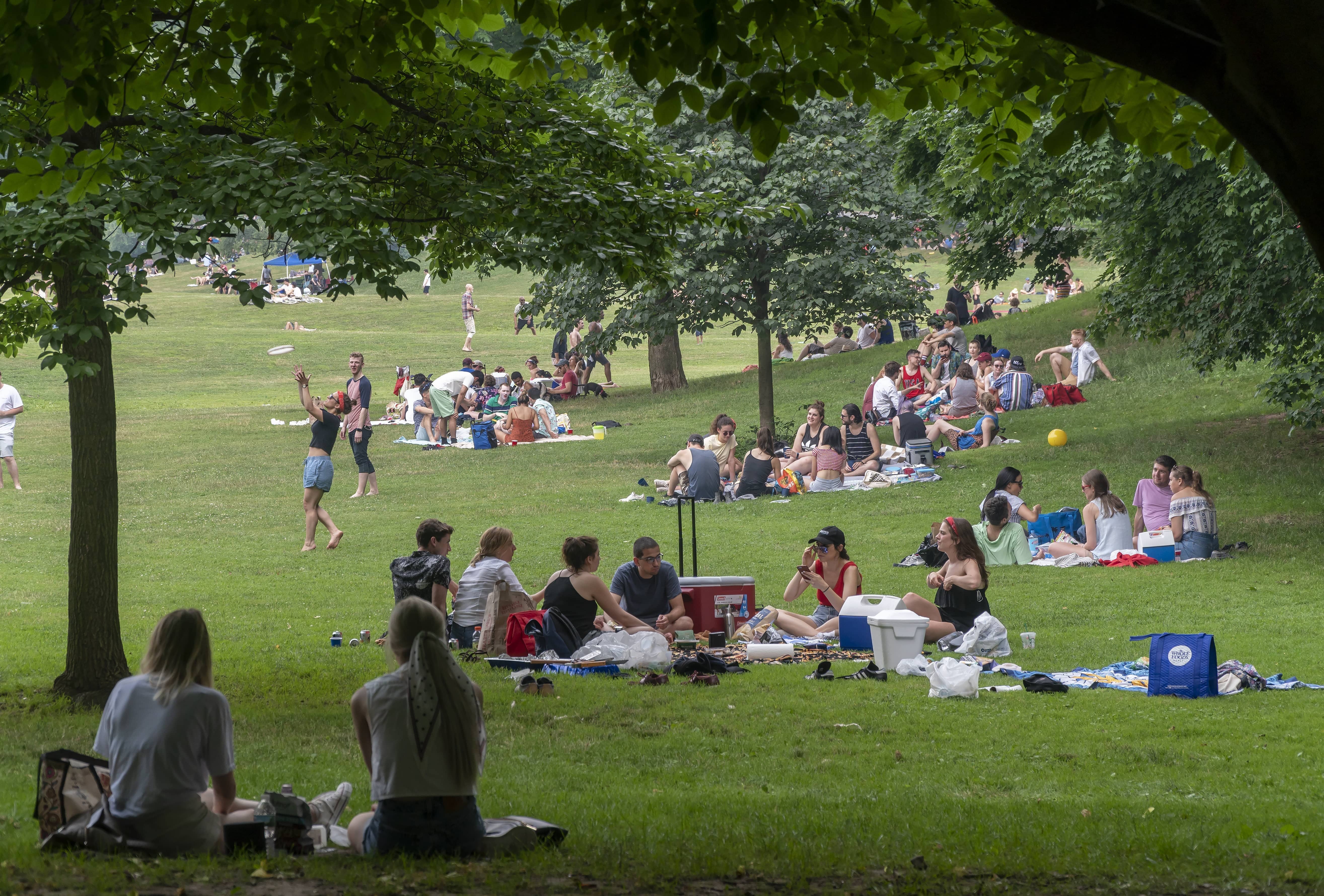 ny-independence-day-in-prospect-park-in-brooklyn-in-new-york