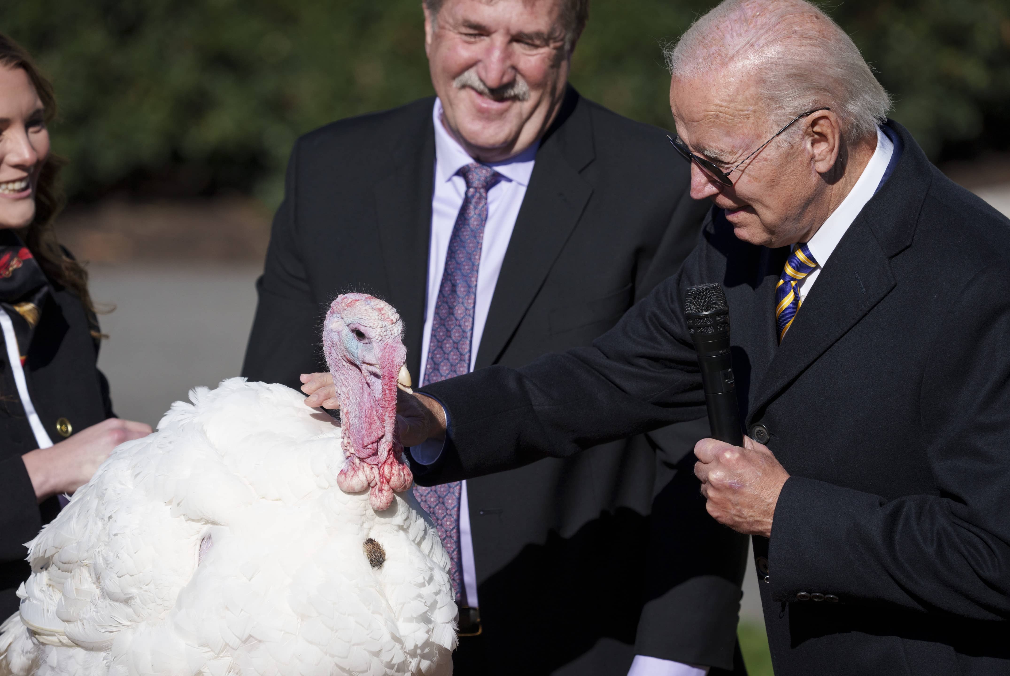 news-president-joe-biden-pardons-the-national-thanksgiving-turkey