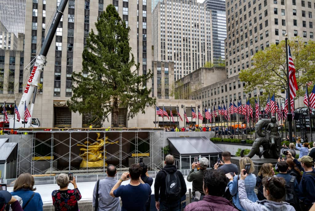 christmas-tree-rockefeller-center