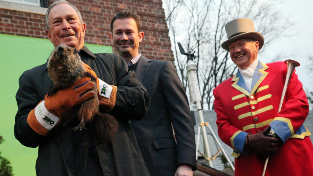 ny-michael-bloomberg-groundhog-day