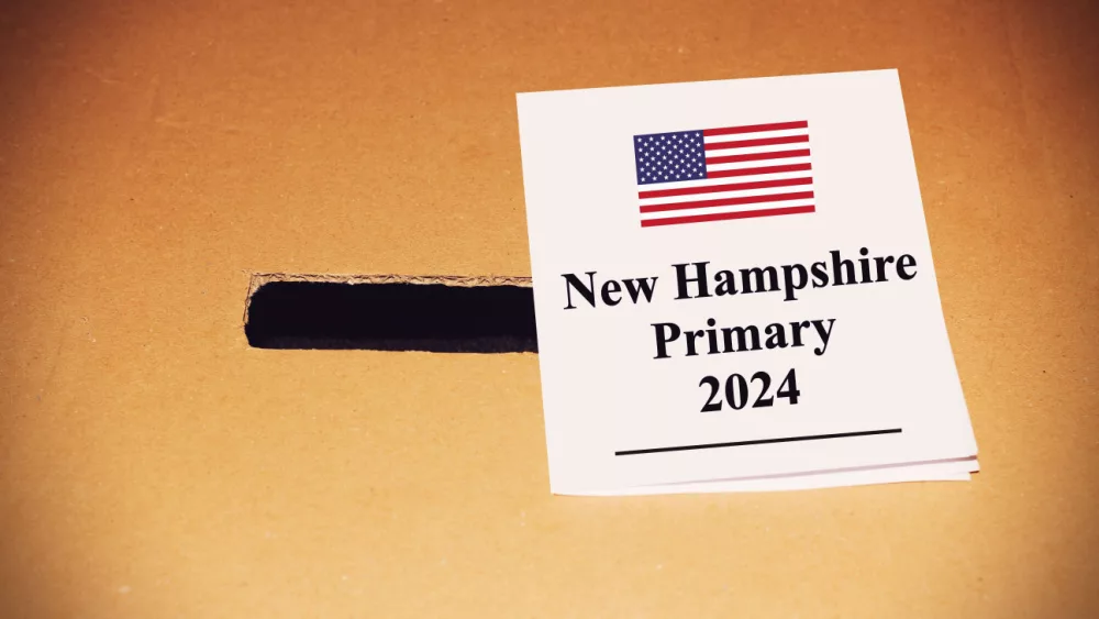 United states political New Hampshire state election vote (concept).