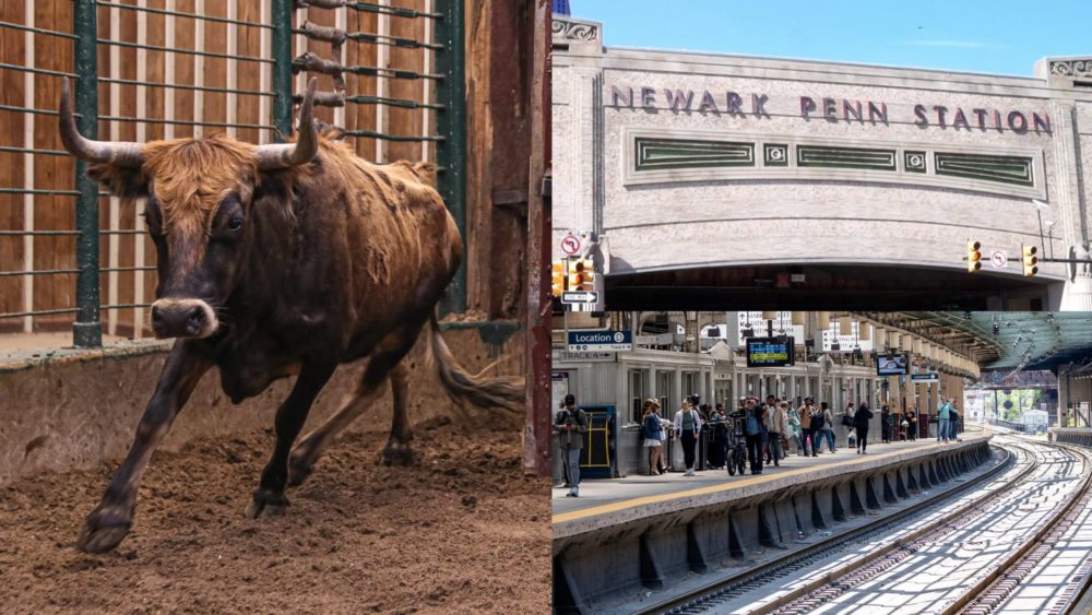 mixcollage-26-jan-2024-02-44-pm-8279