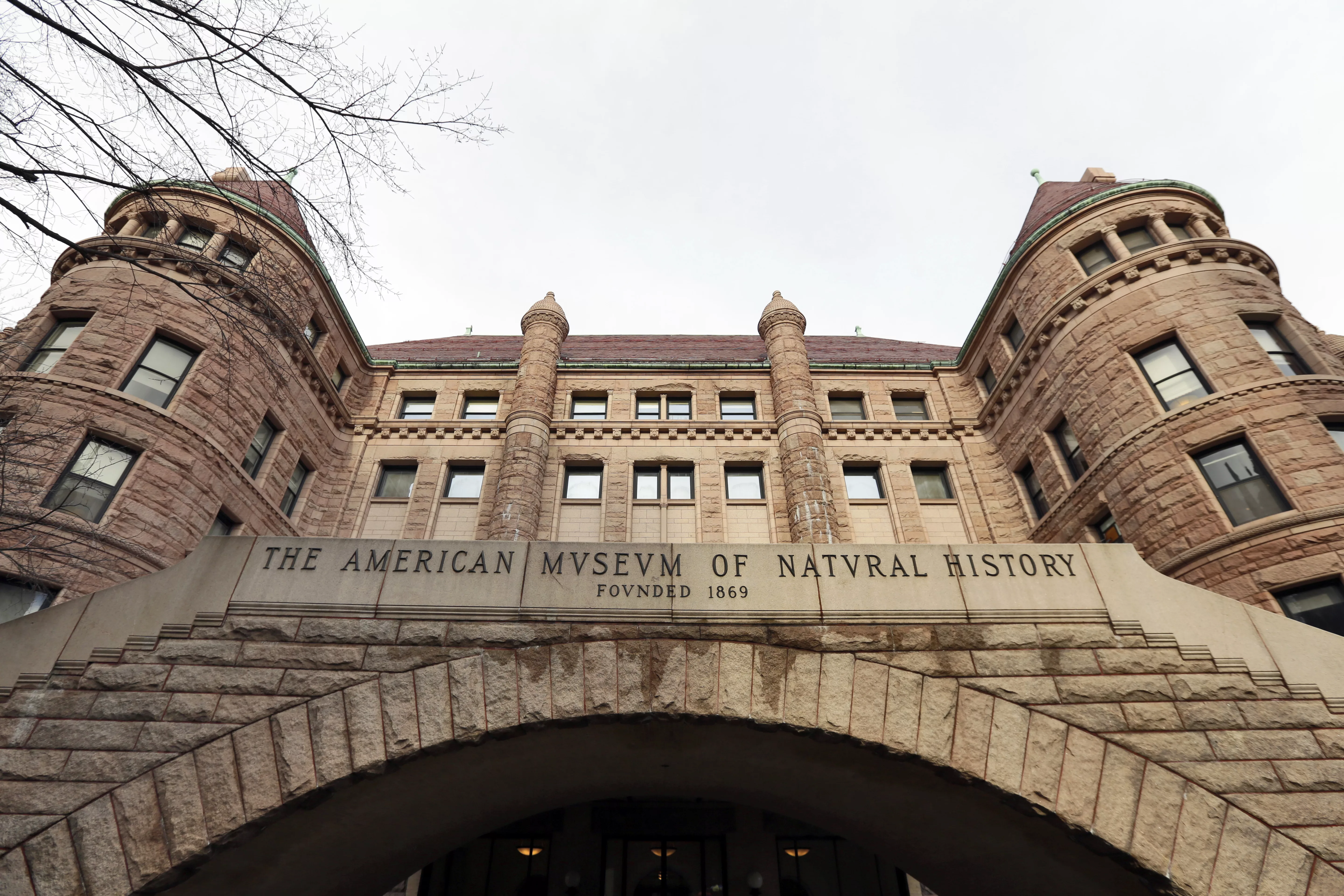 american-museum-of-natural-history