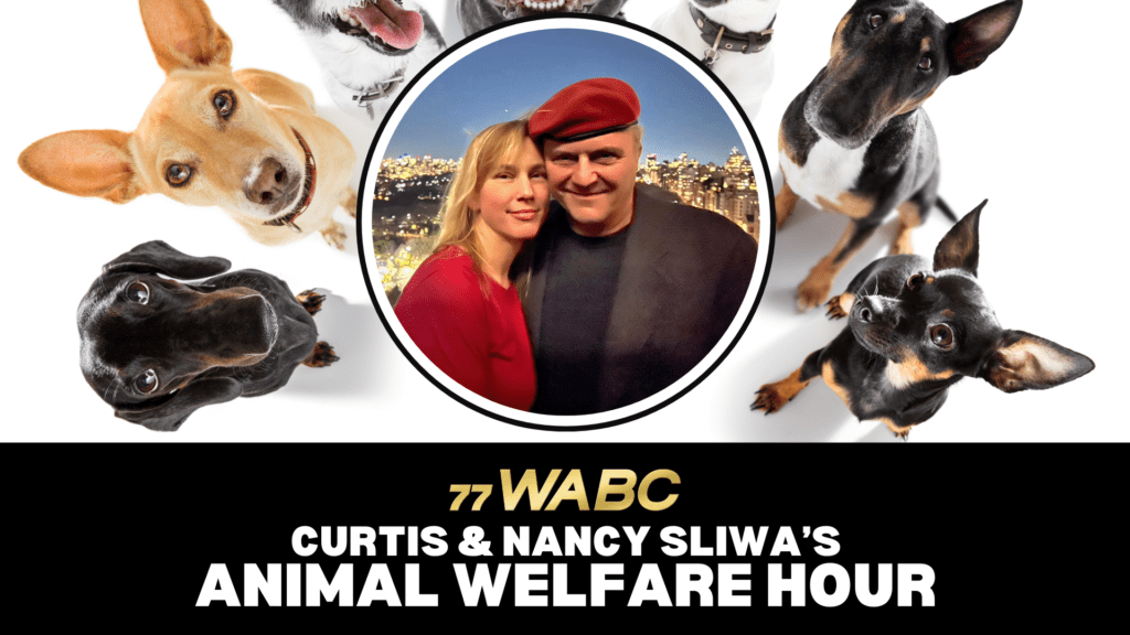 animal-welfare-hour-16x9