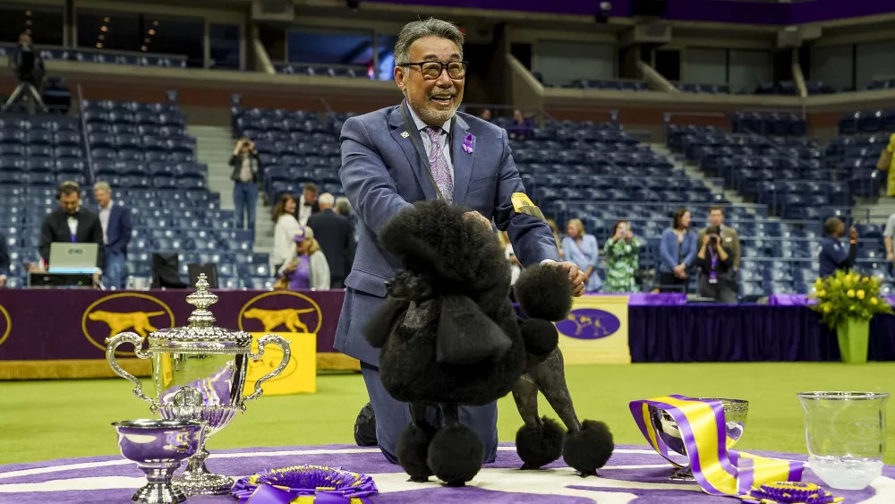dog-show-westminster-kennel-club-second-day