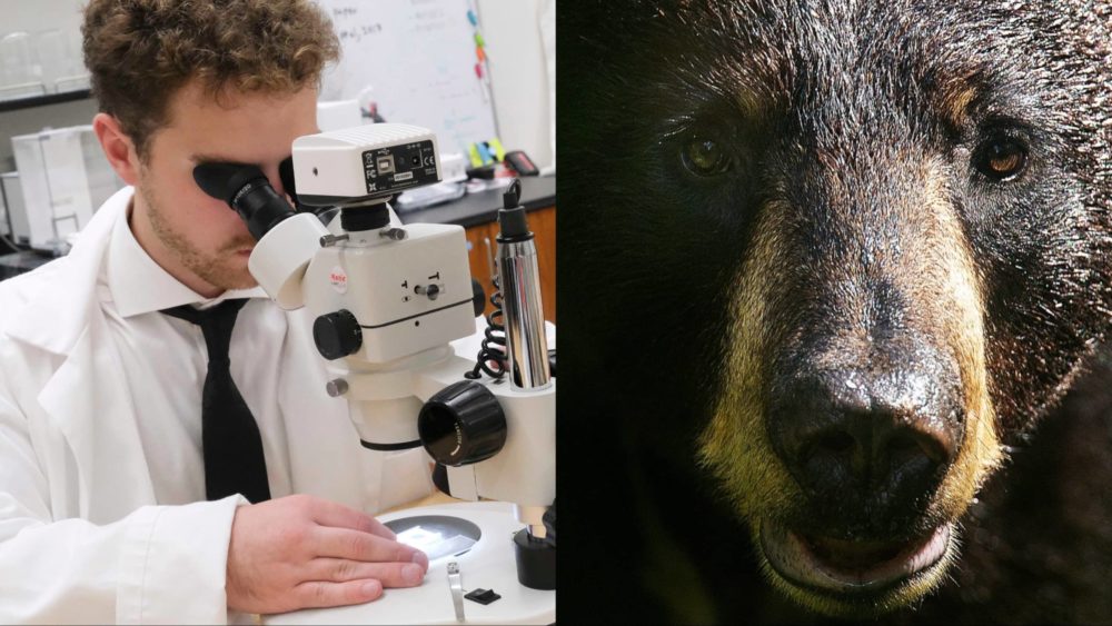 mixcollage-28-may-2024-04-43-pm-1710