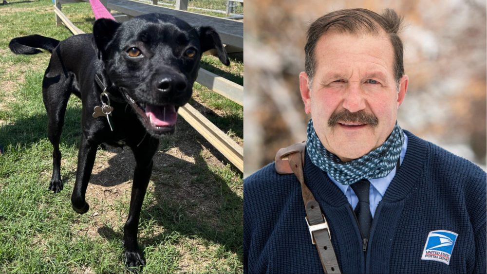 mixcollage-31-may-2024-11-56-am-5536