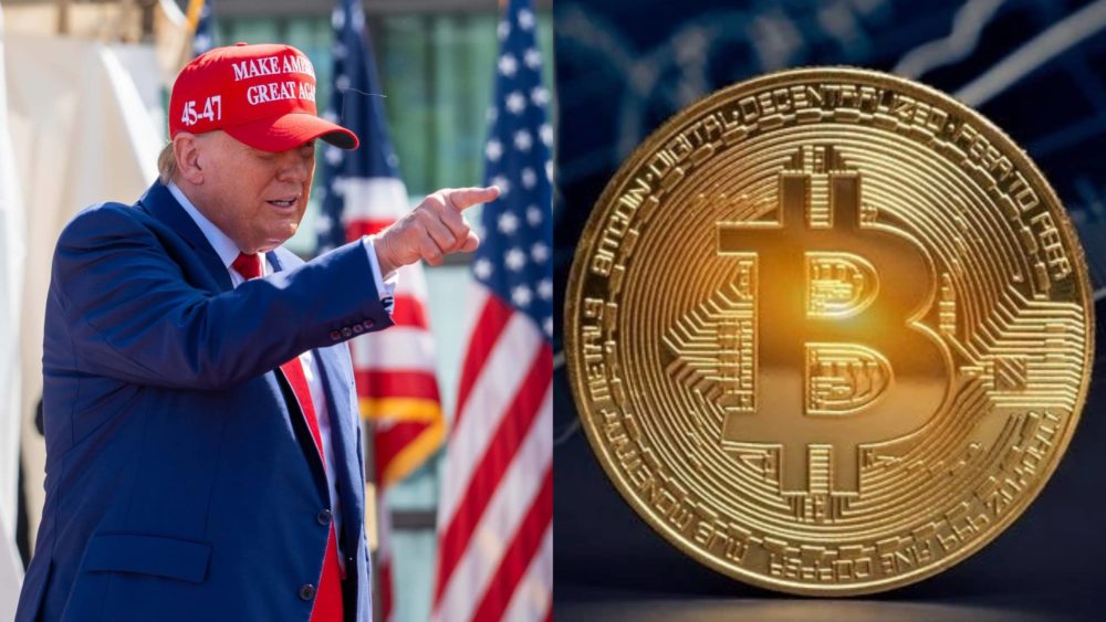 mixcollage-12-jul-2024-10-30-am-6390