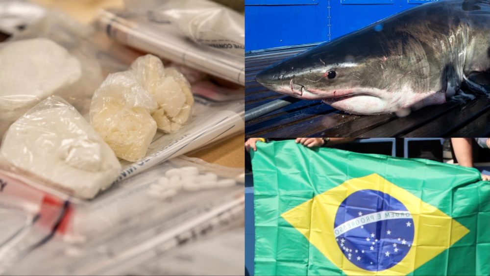 mixcollage-24-jul-2024-03-12-pm-2723