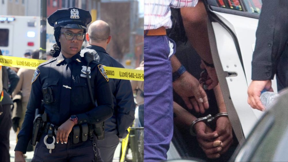 mixcollage-13-aug-2024-08-26-am-6152