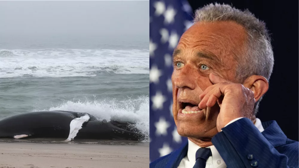 mixcollage-16-sep-2024-03-04-pm-7122