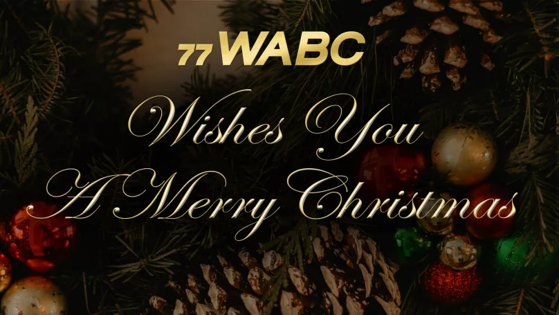 Merry Christmas from WABC Family to You!