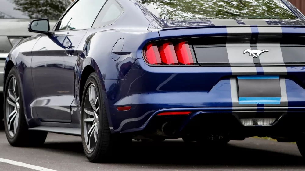 syndication-louisville-15