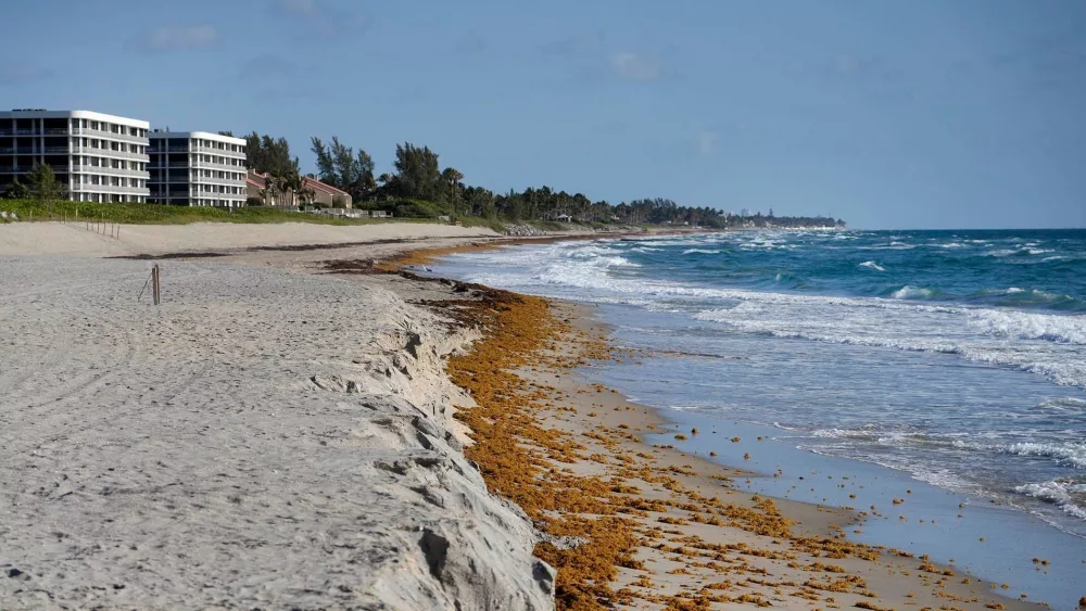syndication-palm-beach-daily-news-14