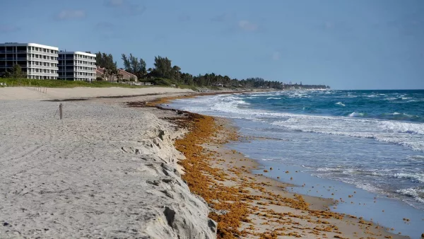 syndication-palm-beach-daily-news-14