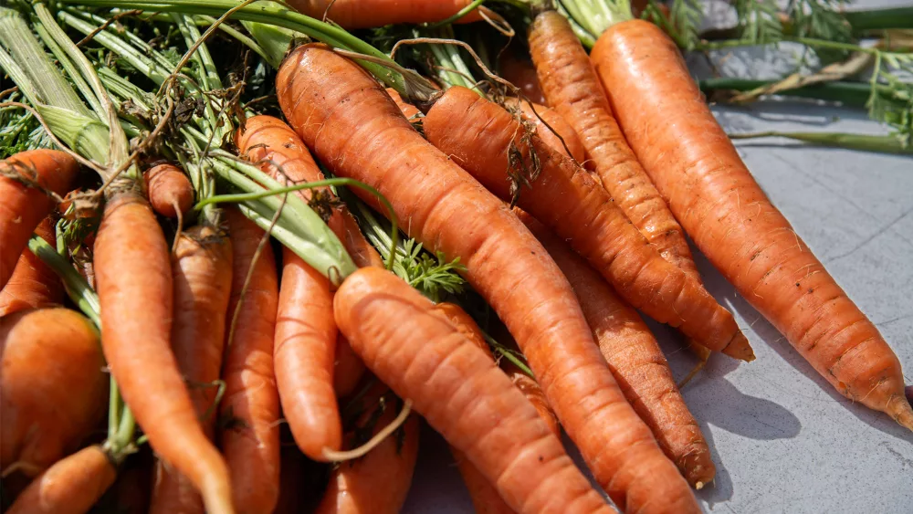 carrots