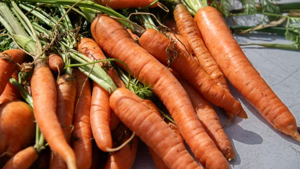 carrots