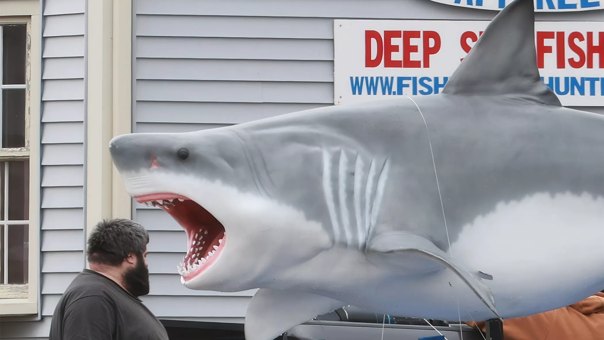 shark