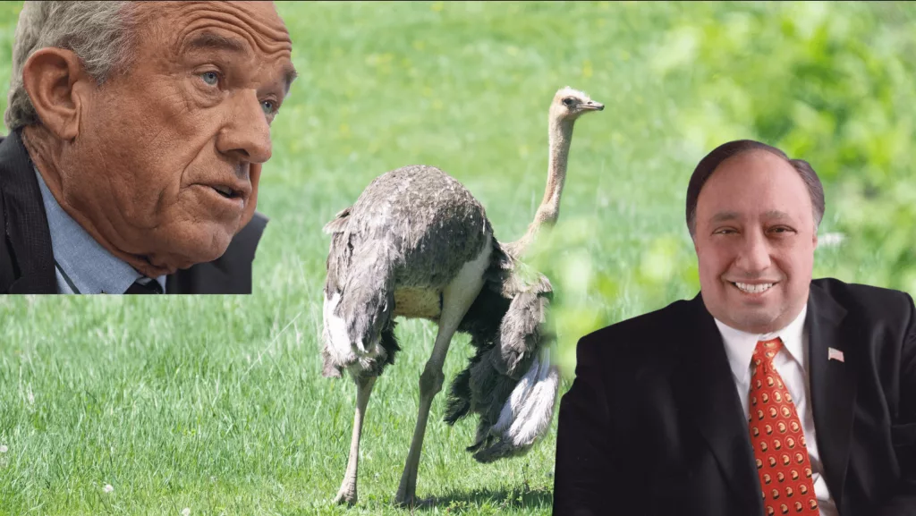 mixcollage-26-may-2025-07-28-am-2337