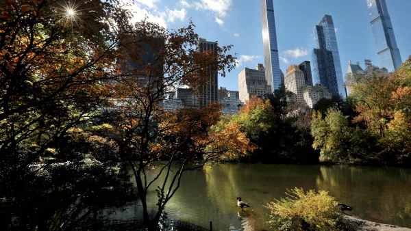 Central Park Safety
