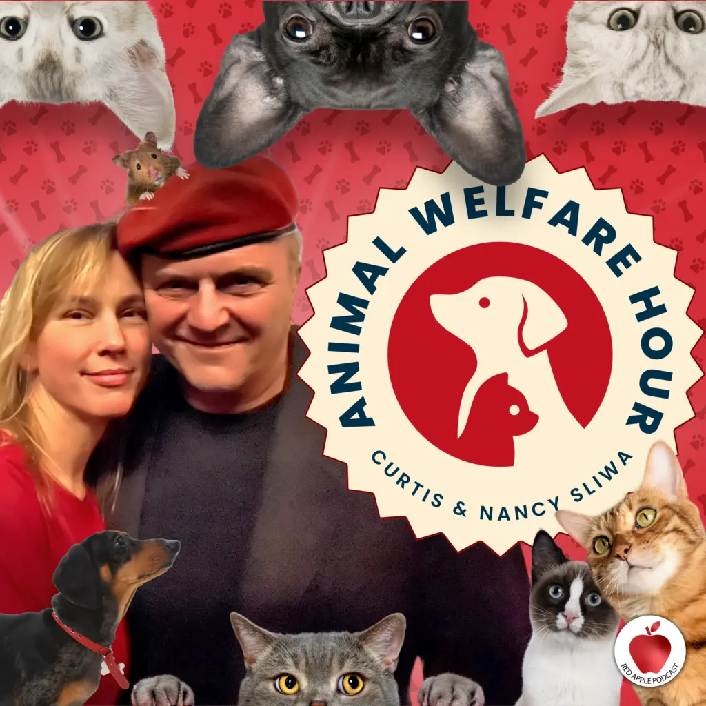 animal-welfare