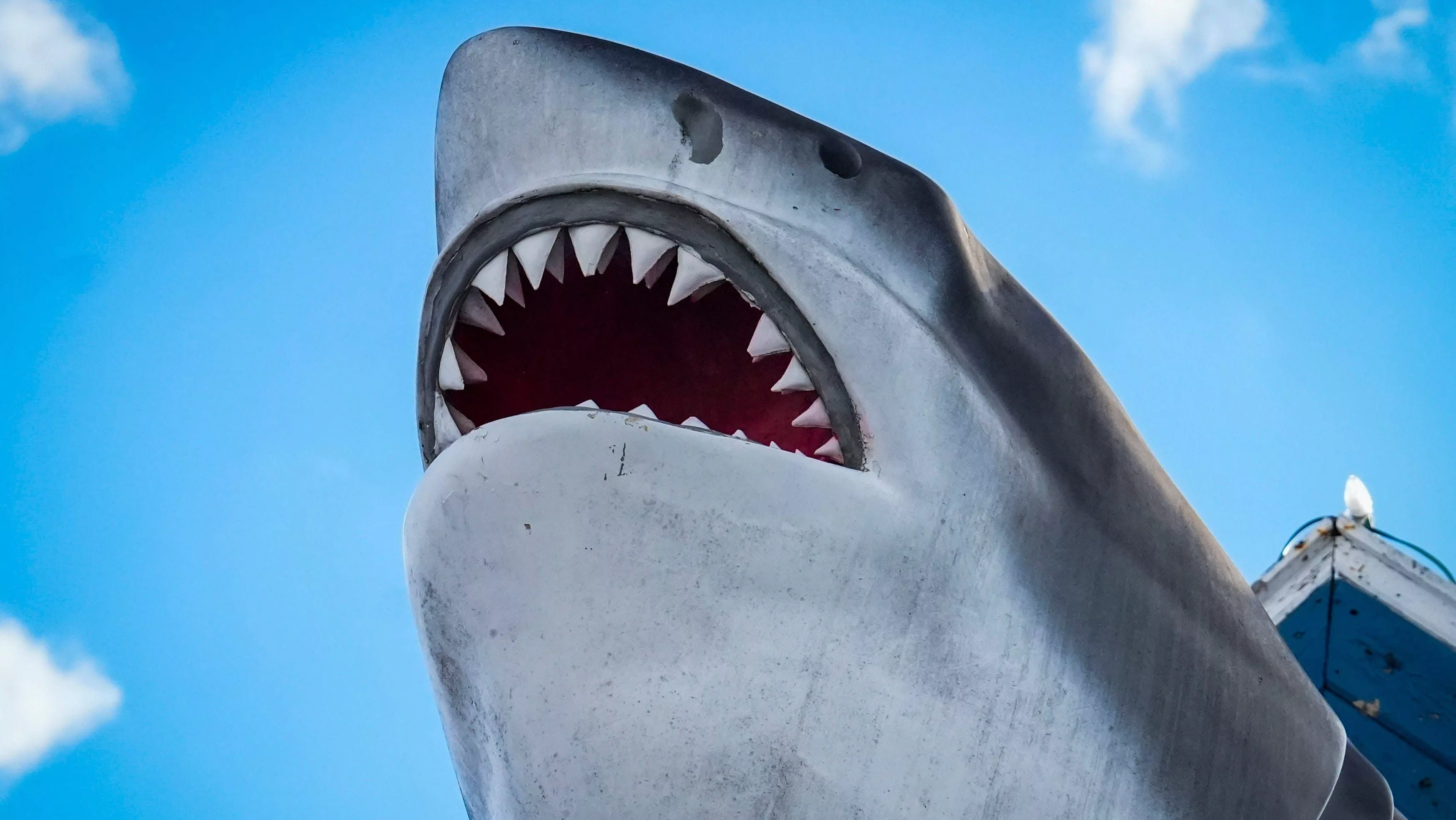 syndication-wilmington-news-journal-48